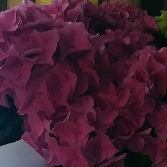 Meet your Posher, Beyond - Picture 1 of 1